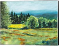 Pocket Meadow Fine Art Print