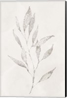 Spotted Botanical 2 Fine Art Print
