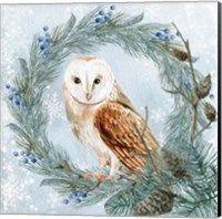 Winter Owl 1 Fine Art Print