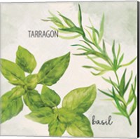 Fresh Herbs 1 Fine Art Print