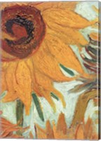 Vase with Twelve Sunflowers, .c1888 (detail) Fine Art Print