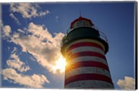 Shining Through at West Quoddy Head Fine Art Print