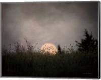 The Prairie Moon Fine Art Print