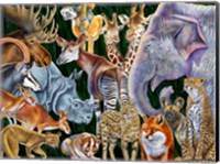 Animals of the World Fine Art Print