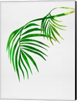 Palm Tree Leaves Fine Art Print