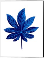 Floating Blue Leaf Fine Art Print