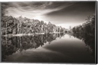 Glassy Creek Fine Art Print