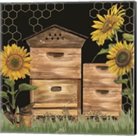 Honey Bees & Flowers Please on black VII Fine Art Print