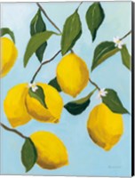 Lemon Tree Fine Art Print