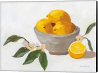 Lemons in Grey Bowl Fine Art Print