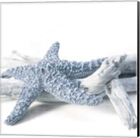 Starfish Beach 4 V3 Fine Art Print