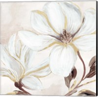 Elegant Magnolia Fine Art Print