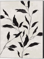 Noir Botanical Fine Art Print