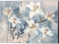 Whisper Blooms II Fine Art Print