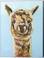 Brown Alpaca Fine Art Print
