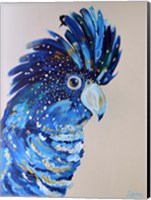 Coco the Cockatoo Fine Art Print