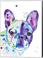 Frenchie No. 2 Fine Art Print