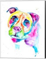 Colorful Pitbull Fine Art Print
