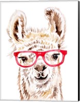 Llama in Glasses Fine Art Print
