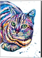 Colorful Tabby Cat Fine Art Print