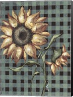 Sunflowers Plaid I Fine Art Print