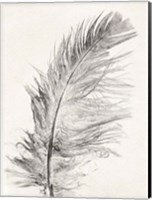 Feather 1 Light Fine Art Print