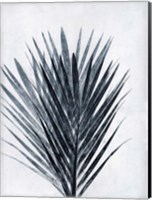 Palm 2 Grey Fine Art Print