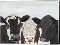 Herd Meeting Fine Art Print