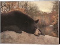 Don't Poke the Bear Fine Art Print