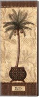 Botanical Palm II Fine Art Print