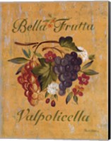 Valpolicella Fine Art Print