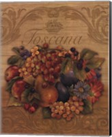 Toscana Fine Art Print
