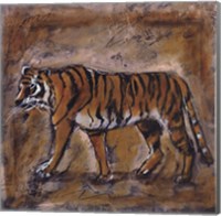 Safari Tiger Fine Art Print