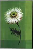 Flower on Green Fine Art Print
