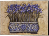 Blue Irises Fine Art Print