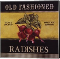 Old Fashioned Radishes Fine Art Print