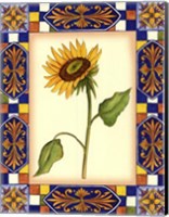 Tuscany Sunflower I Fine Art Print