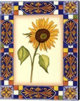 Tuscany Sunflower II Fine Art Print