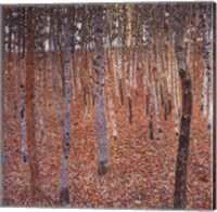 Beechwood Forest, c.1903 Fine Art Print
