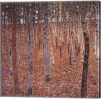 Beechwood Forest, c.1903 Fine Art Print
