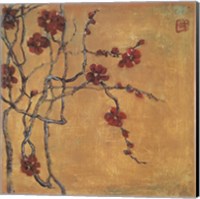 Chinese Blossoms I Fine Art Print