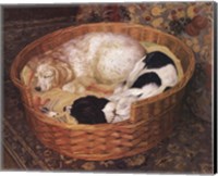 Sleeping Dogs Fine Art Print