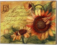 Sunflowers On Gold Fine Art Print