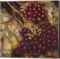 Ripening Berries Fine Art Print