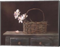Orchid Basket Fine Art Print