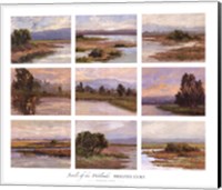 Jewels of the Wetlands, Series One Fine Art Print