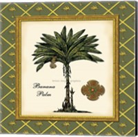Banana Palm (Green) Fine Art Print