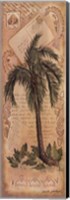 Palm Fronds II Fine Art Print