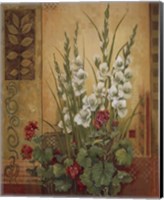 White Gladiolas Fine Art Print