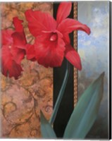 Lily Red/Teal Damasque Fine Art Print